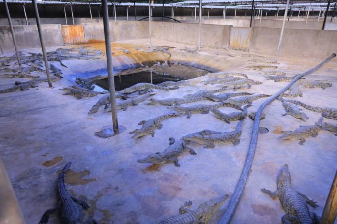 photo_2024-11-20_17-09-13