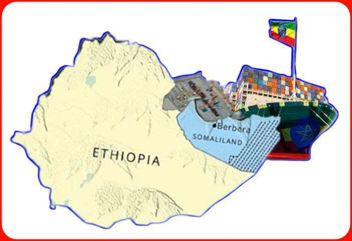 photo_2024-11-20_18-08-29