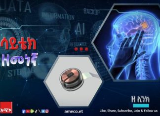 ዘሊንክ ምንድን ነው?