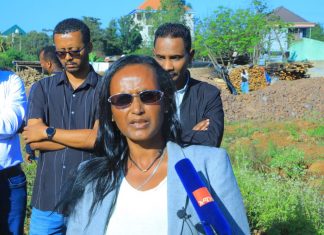 “በጋራ በመሥራት ሕዝባችንን ከወባ ወረርሽኝ መታደግ ይኖርብናል” ሙሉነሽ ደሴ (ዶ.ር)