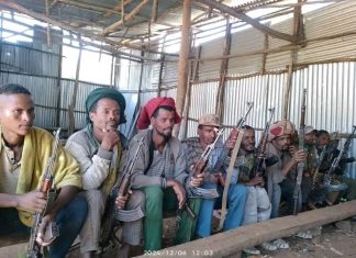 በደቡብ ጎንደር ዞን እስቴ ወረዳ 43 የታጠቁ አካላት የመንግሥትን የሰላም ጥሪ ተቀብለው ተመለሱ።