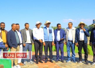 ከፍተኛ መሪዎች በባሕር ዳር ከተማ የሚከናወኑ የልማት ሥራዎችን እየተመለከቱ ነው።