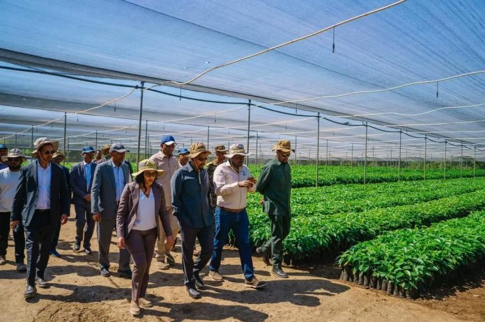 469709903_988957056595552_8614444023988655368_n