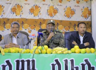 ከመንግሥት ጎን በመሆን የአካባቢያቸውን ሰላም እንደሚያስከብሩ የመካነ ሰላም ከተማና አካባቢው ነዋሪዎች ተናገሩ።