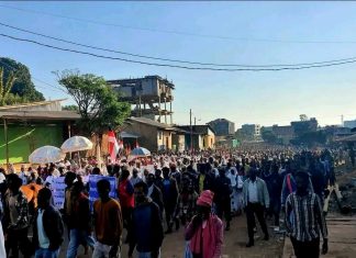 በኦሮሚያ ክልል ሆሮ ጉዱሩ ዞን ሕዝባዊ ሰልፍ ተካሄደ፡፡