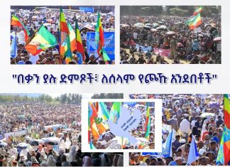 ሰላምን የናፈቁ አንደበቶች፣ ግጭትን የጠሉ ልቦች፣ ለሰላም የተዘረጉ እጆች በጎዳናዎች ተመላልሰዋል።