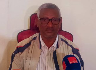 ጥራት ያለው የምርጥ ዘር ብዜት እንዲሠበሠብ የአማራ ክልል የግብርና ጥራት እና ደኅንነት ባለሥልጣን አሳሰበ።
