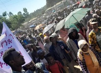 “ከጦርነት ያተረፍነው ሞት እና ውድመት ነው” የወግዲ ወረዳ ነዋሪዎች