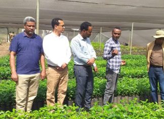 የግብርና ሥራዎች በሜካናይዜሽን የተደገፉ መኾናቸው የተሻለ ምርት ለማምረት እንደሚያግዝ ተገለጸ።