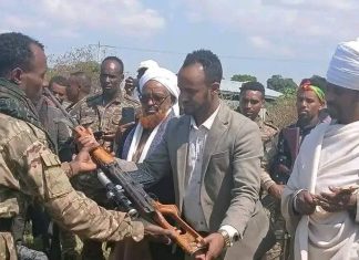 በዳንግላ ወረዳ ሲንቀሳቀሱ የነበሩ የታጠቁ ቡድኖች መንግሥት ያቀረበውን የሰላም ጥሪ ተቀብለው ገቡ።