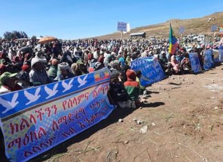 በደቡብ ወሎ ዞን ደሴ ዙሪያ ወረዳ በአማራ ክልል ጦርነት ቆሞ ሰላም እንዲሰፍን የሚጠይቅ ሰልፍ በመካሄድ ላይ ነው።