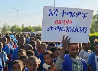 በምዕራብ ጎንደር ዞን ምዕራብ አርማጭሆ ወረዳ ሕዝባዊ ሰላማዊ ሠልፍ እየተካሄደ ነው።