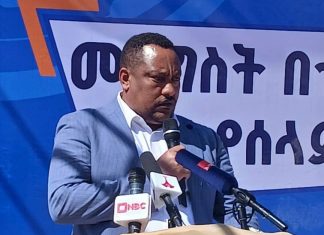 ማንኛውም ችግር በሰላማዊ መንገድ ሊፈታ እንደሚገባ ተቀዳሚ ምክትል ከንቲባ በድሉ ውብሸት ተናገሩ።