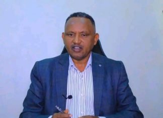 በአማራ ክልል 254 ሺህ ሄክታር መሬት በመስኖ ስንዴ እየለማ ነው።