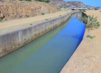 በበጋ መስኖ ልማት የግብዓት አቅርቦት ችግር እንዳይኖር እየሠራ መኾኑን የአማራ ክልል ግብርና ቢሮ አስታወቀ።