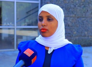 የሲቪል ማኅበረሰብ ድርጅቶች ረቂቅ አዋጅ ለድርጅቶቹ ሃብት የመፍጠር ነጻነትን የሰጠ ነው።