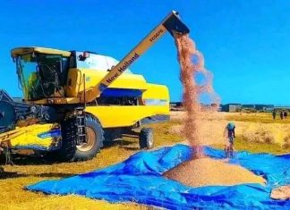 በአማራ ክልል እስካሁን ከ4 ሚሊዮን ሄክታር በላይ ሰብል ተሠብሥቧል።
