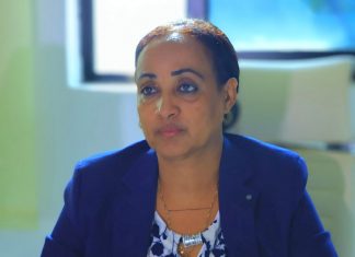 በበጀት ዓመቱ 597 የመንገድ እና ድልድይ ፕሮጀክቶችን ለማጠናቀቅ እየተሠራ ነው፡፡