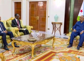 “ከጂቡቲ ፕሬዚዳንት ጋር ፍሬያማ ውይይት አድርገናል” ጌዲዮን ጢሞቲዎስ (ዶ.ር)