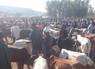የልደት በዓል የገበያ በባሕር ዳር
