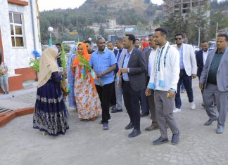 “ተገልጋዮች ምቹ እና ቀልጣፋ አገልግሎት እንዲያገኙ ደረጃቸውን የጠበቁ ተቋማትን መገንባት አስፈላጊ ነው” ምክትል ርእሰ መሥተዳድር አብዱ ሁሴን (ዶ.ር)