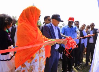 ርእሰ መሥተዳደር አረጋ ከበደ በደቡብ ወሎ ዞን የተገነቡ መሠረተ ልማቶችን መረቁ።