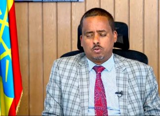 የኢትዮጵያ እና የሶማሊያ የዲፕሎማሲ ግንኙነት ለቀጣናው ሰላም እና መረጋጋት ወሳኝ ነው።