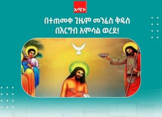 “መንፈስ ቅዱስ በርግብ አምሳል ተመስሎ በትክሻው ላይ አረፈ” በመጽሐፍ ቅዱስ እንደተጻፈ!