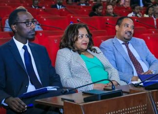 “የኢትዮጵያን ብሔራዊ ጥቅሞች ማስጠበቅ ያስቻሉ ስኬታማ የዲኘሎማሲ ሥራዎች ተከናውነዋል” የውጭ ጉዳይ ሚኒስቴር