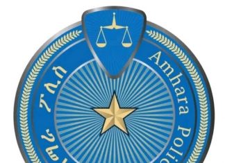 ከከተራ እስከ ቃና ዘገሊላ ያሉ በዓላት በሰላም መጠናቀቃቸውን የአማራ ፖሊስ ኮሚሽን አስታወቀ።