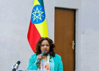 ” 38ኛው አፍሪካ ኀብረት የመሪዎች ጉባኤን በላቀ ደረጃ ለማስተናገድ አስፈላጊው ዝግጅት ተደርጓል ” አምባሳደር ብርቱካን አያኖ