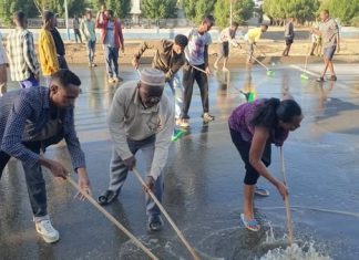 የሁመራ ከተማ ወጣቶች የታቦታት ማለፊያ መንገዶችን አጸዱ።