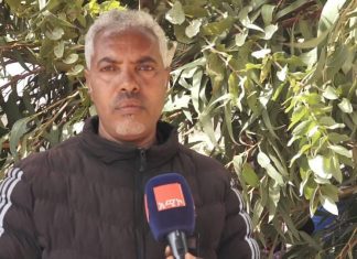 “የማይሠራ ጉልበት፣ የማይለማ መሬት አይኖርም!”