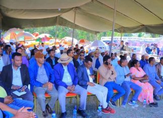 ከ24 ሺህ ሄክታር በላይ መሬት የአፈር እቀባ ሥራ ይሠራል “የማዕከላዊ ጎንደር ዞን ግብርና መምሪያ”