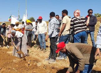 ሰሜን ጎጃም ዞን የተፈጥሮ ሀብት ልማት እና ጥበቃ ሥራን በይልማና ዴንሳ ወረዳ አስጀመረ።