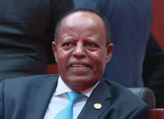 የአፍሪካ ኢነርጂ ጉባዔ በታንዛኒያ እየተካሄደ ነው።
