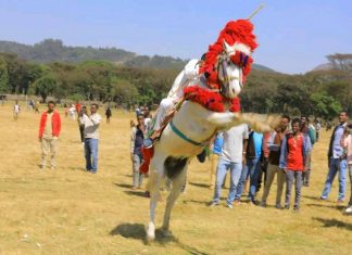 ደማቁ እና ተናፋቂው የአገው ፈረሰኞች በዓል!