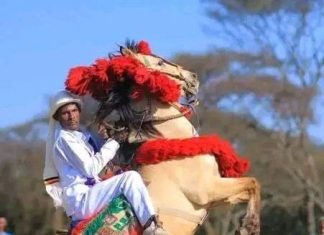 “ታሪክ ሠሪ ፈረሰኞች፤ የሀገር ክብር ጠባቂዎች”