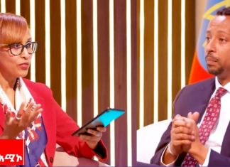 “የመንግሥት የልማት ድርጅቶች ወደ ኢኮኖሚ ስኬት ምሰሶነት ተሸጋግረዋል” ብሩክ ታዬ (ዶ.ር)