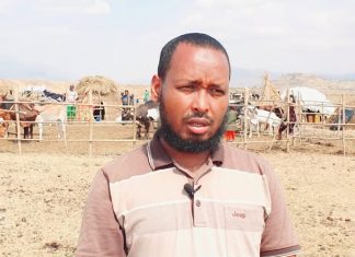 ለስምንት ተከታታይ ቀናት የሚቆይ የዳልጋ ከብቶች ክትባት ዘመቻ ተጀመረ።