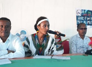 በሰላም ጉዳይ ሴቶች ጉልህ አስተዋጽኦ እንዲኖራቸው እየተሠራ ነው።
