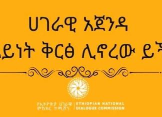 ሀገራዊ አጀንዳ ምን አይነት ቅርጽ ሊኖረው ይችላል?