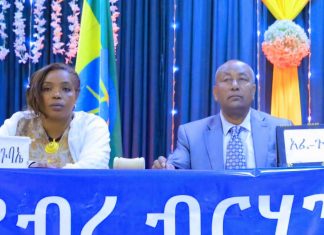 ከ20 ቢሊዮን ብር በላይ ካፒታል ያስመዘገቡ ባለሀብቶች ፈቃድ ወስደዋል።