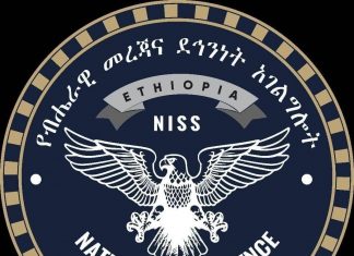 ከብሔራዊ መረጃ እና ደኅንነት አገልግሎት ፈቃድ ሳያገኙ በአዲስ አበባ እና አካባቢዋ ድሮን በሚያስነሱና በሚያበሩ አካላት ላይ እርምጃ እየተወሰደ መኾኑ ተገለጸ፡፡