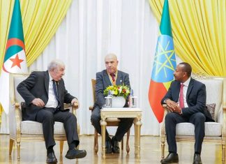 ጠቅላይ ሚኒስትር ዐቢይ አሕመድ (ዶ.ር) ከአልጄሪያው ፕሬዝዳንት አብድልመጂድ ቴቡኔን ጋር ተወያዩ።