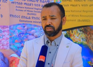 “ከ19 ሺህ በላይ ወጣቶች የሥራ ዕድል ተፈጥሮላቸዋል” የማዕድን ሃብት ልማት ቢሮ