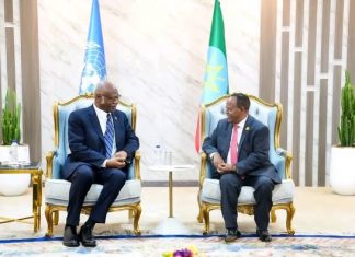 ፕሬዝዳንት ታዬ አፅቀሥላሴ ከተመድ ጠቅላላ ጉባኤ ፕሬዝዳንት ፋይሌመን ያንግ ጋር ተወያዩ።
