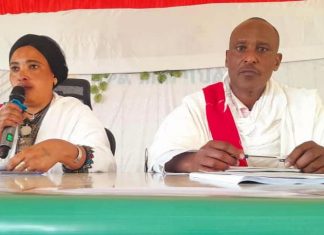 እየተሻሻለ የመጣውን ሰላም ለማጽናት የኅብረተሰቡ አጋርነት ሊጠናከር ይገባል።