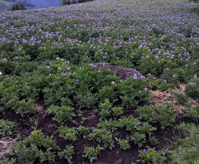 480876779_1046563360834921_7652030873414210727_n