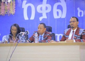 “ትልቋን ኢትዮጵያ ለመገንባት የኅብረተሰብ ተሳትፎ ሚናው ጉልህ ነው” ሙሉነሽ ደሴ (ዶ.ር)